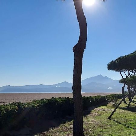 Appartement Renove Avec Balcon A 100 M De La Plage Argelès-sur-Mer Exteriér fotografie