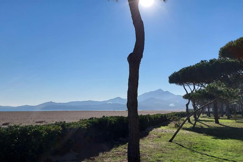 Appartement Renove Avec Balcon A 100 M De La Plage Argelès-sur-Mer Exteriér fotografie